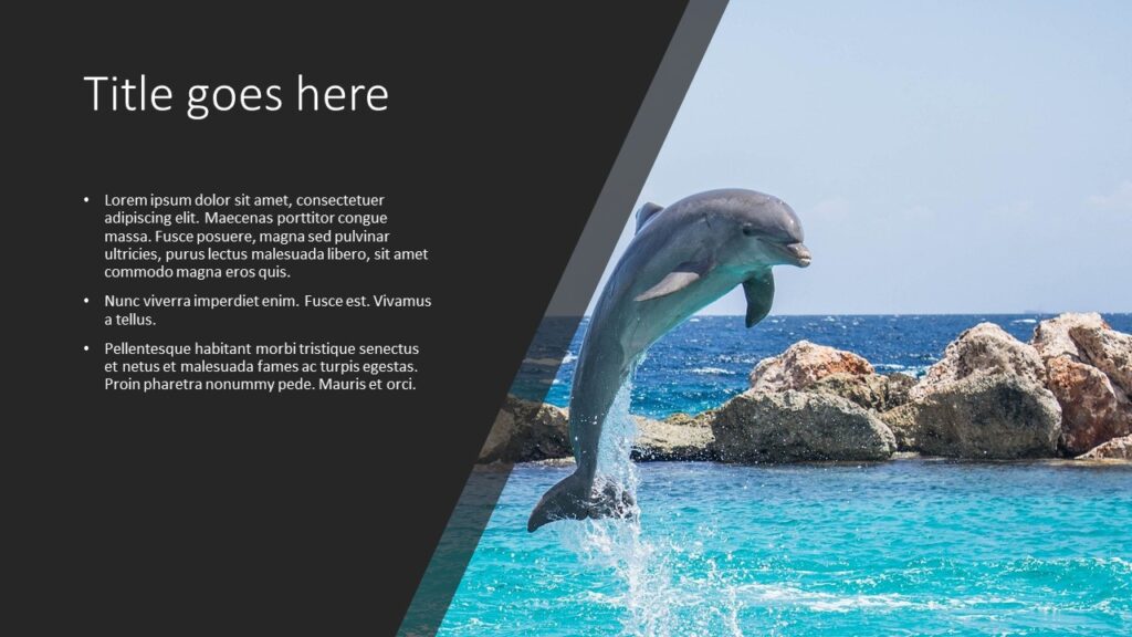 blue-ocean-dolphin-powerpoint-template-slidesbase