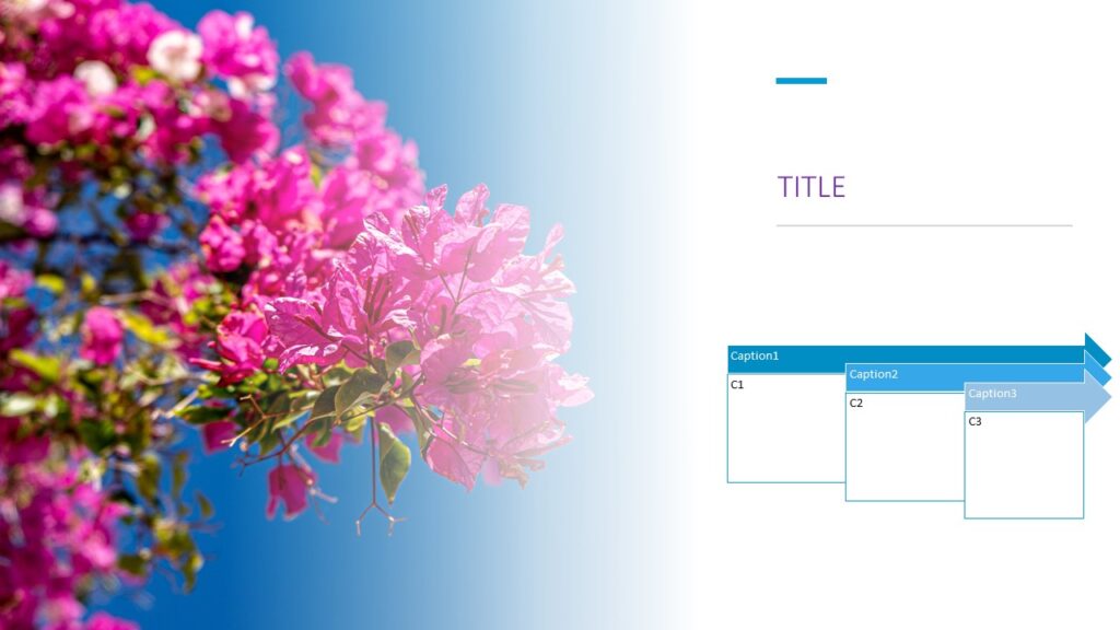 flower themes for microsoft powerpoint